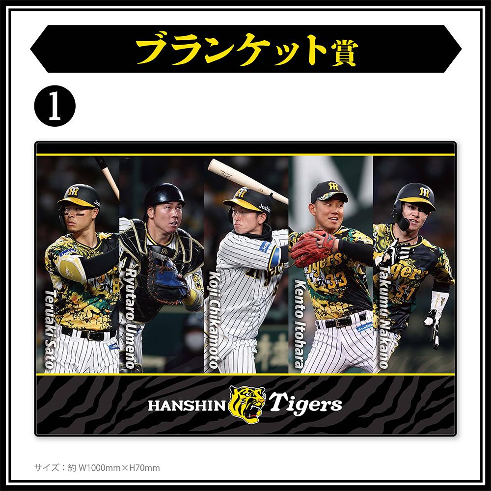 ブランケット賞