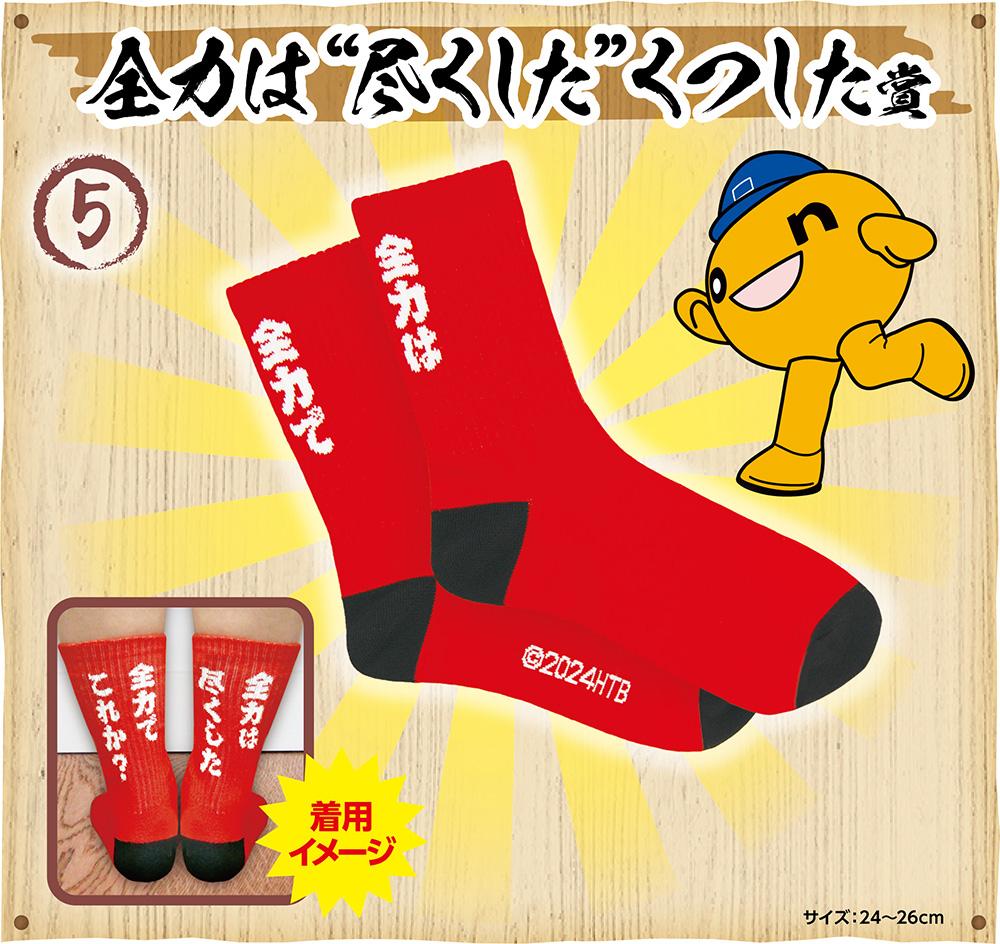 全力は”尽くした”くつした賞